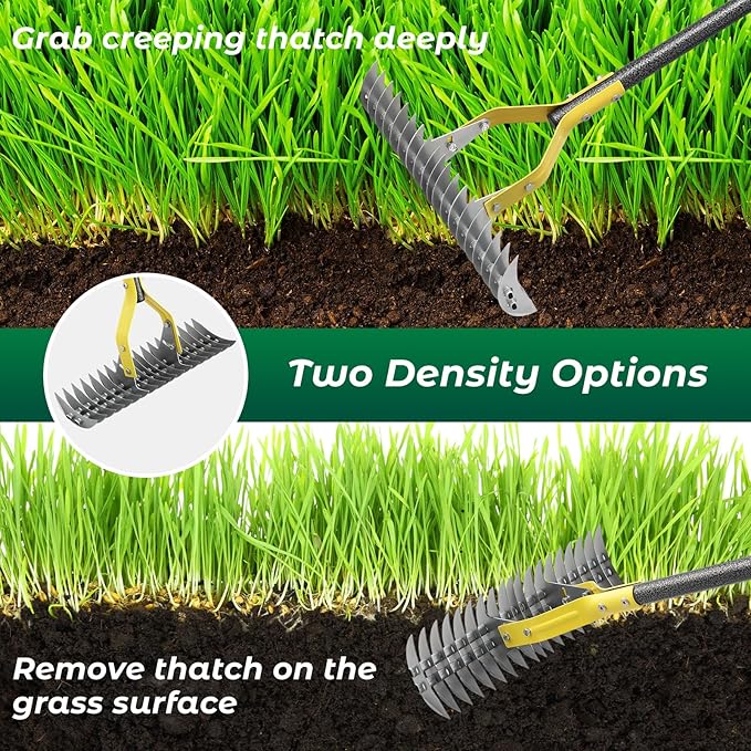 Thatch Rake,55 Inch Heavy Duty Lawn Thatching with Adjustable Stainless Steel Handle,Multiple Garden Rake for Leaves,Lawn Loosening Soil,Backyard,Garden